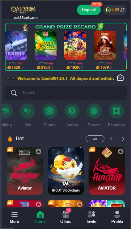 qaidi804 game interface image