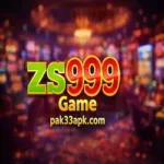 zs999 game feature image