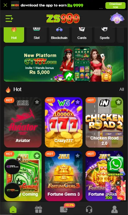 zs999 game interface