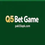 q5 bet game