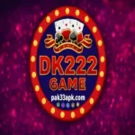DK222 Game