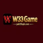 W33 Game