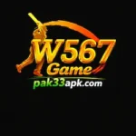 W567 Game