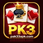 Pk3 Game app features including earning options, bonuses, and referral system